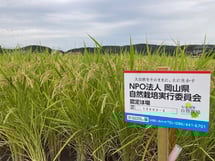 当実行委員会が認証したほ場