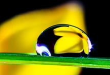 Experiment Kurs, Ei des Kolumbus