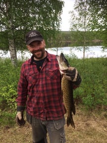 Big pikes and other fish are in the river