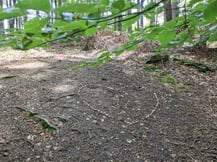 ein herz aus steinen