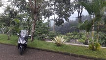 Location de scooter bali, bali location scooter, scooter bali, location, scooter, voiture, SYM, bali balo, bali balo motor, bali balo motor & tours, bali, java, lombok, indonesie, denpasar