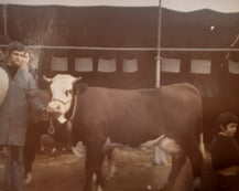 Hermine, (Quinquet) née en 1969, petite-fille de Bijou