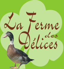 Elevage de canards à foie gras et produits régionaux