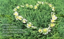 Tausend Gründe dass ich dich liebe