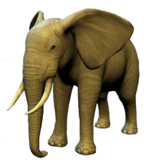 Artwork Elefant (Meine Zoo-Tierarztpraxis 3D)
