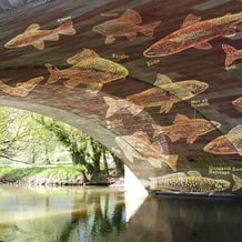 WASSERERLEBINSWEG GEMÜNDEN