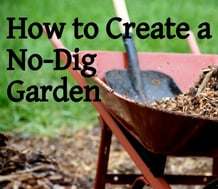How to change to "No dig gardening"