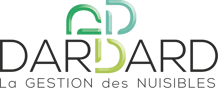 Dardard