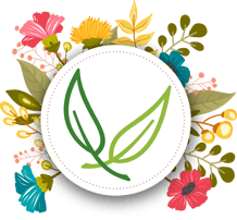 Kibü; Würze; Natur; Kosmetik; Propos; Nature; Frankreich; Creme; Zahnpasta; Shea; Butter; Deo; 