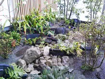 奈良県御所市造園工事【庭匠（にわしょう）】