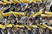 Frische Austern begleitet von aromatischen Zitronenschnitzen