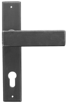 period traditional door handle