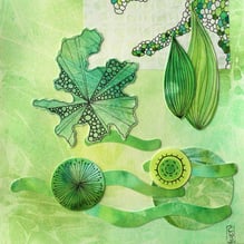 81 | Christine Worms