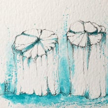 55 | Mechtild Niebeling-Mause