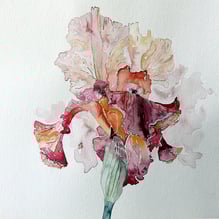 7 | Christiane Antweiler