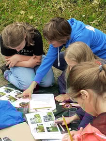 Auf dem Lehrplan im Gymnasium: Ökosystem Grünland, Foto: Bliemsriede