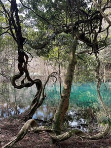 写真提供: 遊佐鳥海観光協会