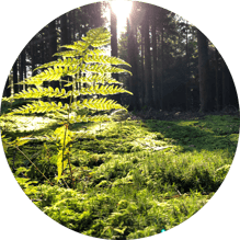 Singkreis in der Region Baden - Praxis für Naturheilkunde und Tibetische Medizin Baden