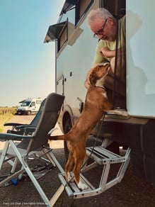 Unser Österreichischer Pinscher Welpe "Adi von den Nuthewiesen" steht auf den Stufen des Wohnmobils.