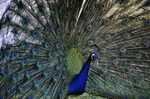 Vielen Dank für die perfekte Pose!