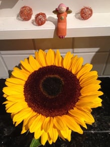 Aus unserer Küche in Fahrwangen