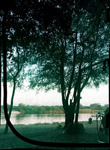 Sicht aus dem Bett im Zelt