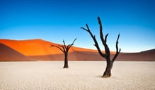 Namibia ist immer wieder - wie die Schweiz - eines der schönsten Länder