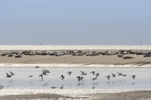 Somme Groupes - Voyages en groupes - Somme - Groupes - Séjour - Hauts de France - Amiens - Hortillonnages - Cathédrale Notre Dame - Picardie - Nature - Découverte - Patrimoine 