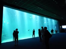 Somme Groupes - Agence de voyages - Réceptif - Baie de Somme - Amiens - Boulogne-sur-mer - Lille -Arras - Lens -  Somme - Cathédrale d'Amiens - Hortillonnages - Marquenterre - Nausicaa - Cap gris nez - Cap blanc nez - Louvre Lens - Musée - Mine de Lewarde