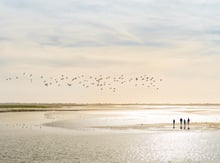 Somme Groupes - Agence de voyages - Réceptif - Bateau en Baie de Somme - Croisière - Séjour baie de Somme - Weekend baie de Somme - Séjour en groupe - Parc du Marquenterre - Voir les phoques en baie de Somme - Observer les phoques en Baie de Somme