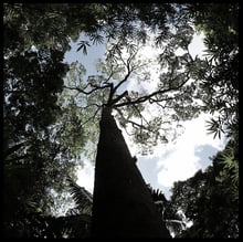 Akupunktur Biel, Massage Biel, TCM Biel, Psychosomatik Biel, acu natura TCM Biel