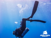 SCUBA diving Blog and underwater experices 