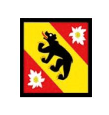 Bernerverein Frick