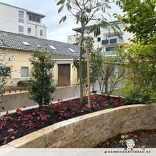 Thema: Pflanzen im Garten. Firma Hannis Gartengestaltung und Landschaftsbau in Freiburg bietet..