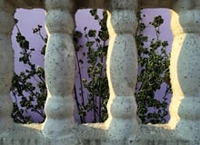 Blick durch die Betonpalisade in einen Garten