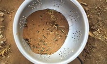 Löchersieb zum Trennen von Glas und Sand