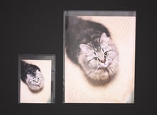 OPP袋 写真プリント用の画像