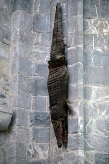 Le crocodile de la cathédrale de Saint Bertand de Comminges, grand site touristique de la région Occitanie Pyrénées Mediterrannée
