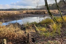 Hirtlohweiher (Foto: Götte)