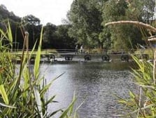 Site naturel du Stang, Landeleau