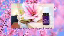Bild: Highest Potential von Young Living im Kokoro
