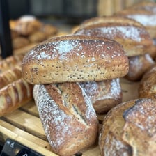 Pain quinoa PPBIO Poitiers