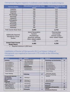 ドクターバンカイロプラクティック：アメリカ　カイロプラクティック大学　教育