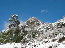 雪化粧した鋸山