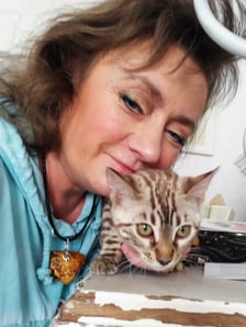 Rittersaal Bengalen - Bengalen Katzen Zucht aus Hessen - Groß-Zimmern