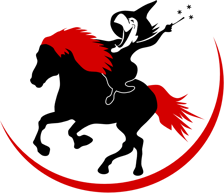 Islandpferde Gestüt Hexenbuckl