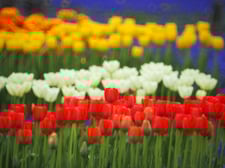 各地句会の日程