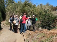 横浜郊外を訪ねて