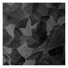 Etching 713 Color Black FG3