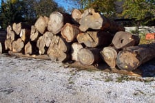 Roundlogs, Logs, hardwood, domestic and exotic wood, warehouse